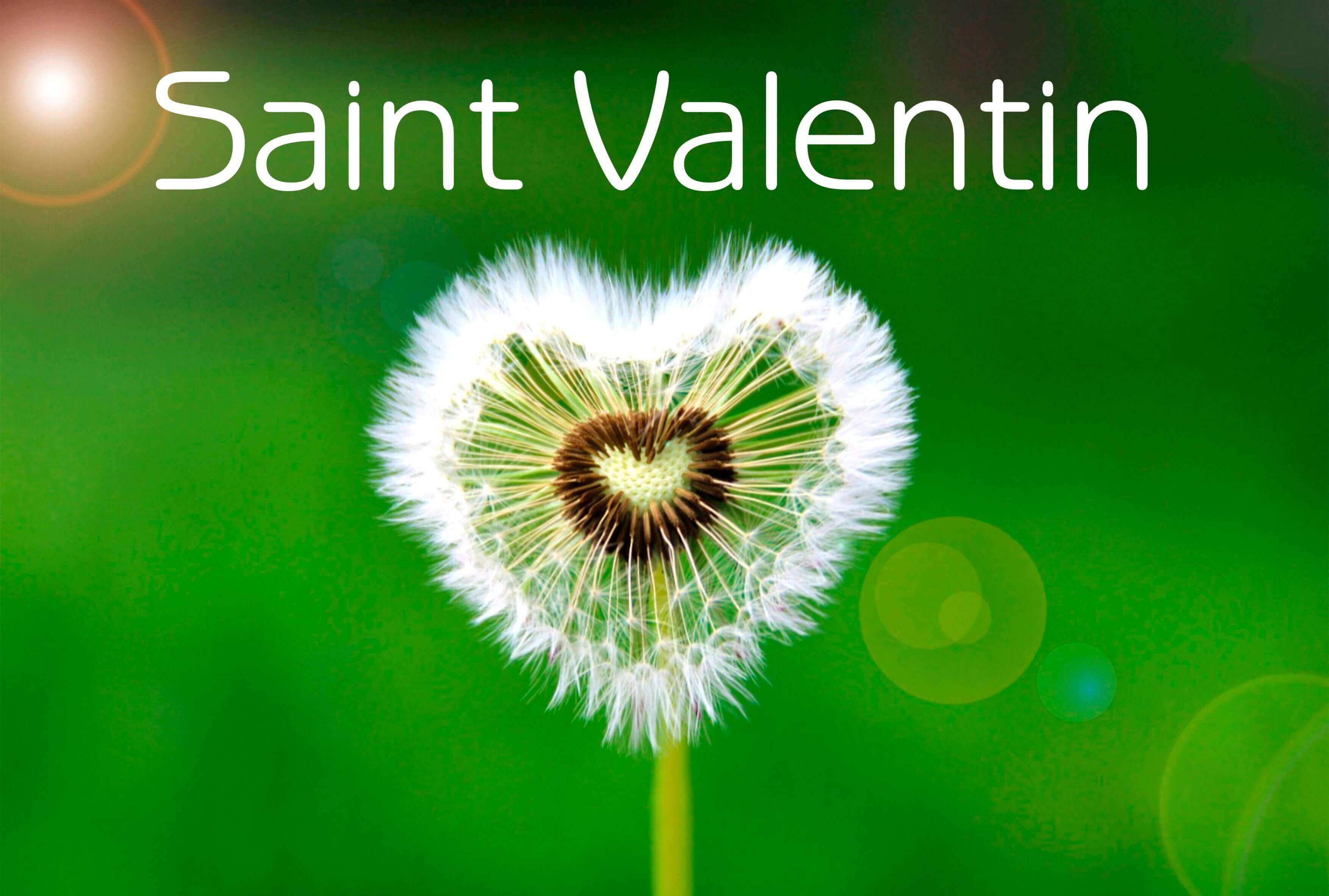 Cadeau pour Saint Valentin avec un dandelion en forme de cœur sur fond vert.