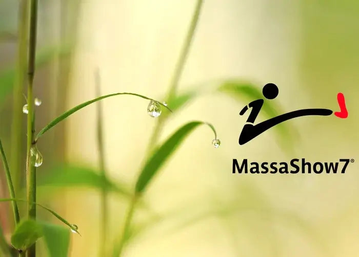 MassaShow7 est un distributeur français de chaussettes de qualité sur internet