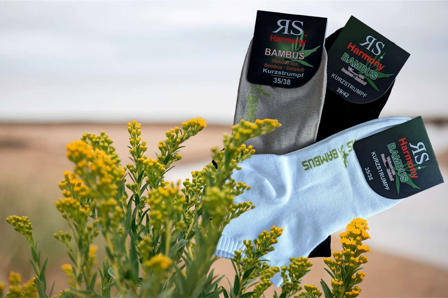 Socquettes blanches, noires et beiges pour l'été présentées sur fond de mer et de plantes fleuries