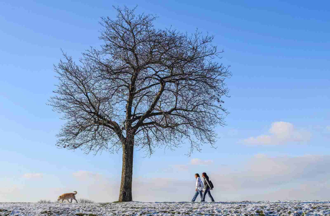 Un couple et leur chien se promènent avec des chaussettes chaudes aux pieds dans la campagne au milieu de l'hiver et avec des températures négatives qui annonce un froid polaire.