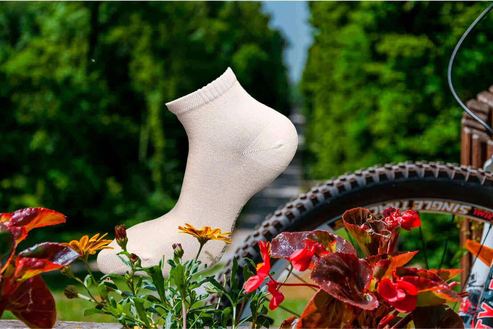 Chaussettes courtes blanches à vélo dans un cadre ensoleillé avec des fleurs colorées.