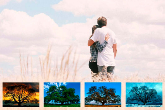 Un arbre qui vit ses 4 saisons devant un couple enlacé en pleine nature
