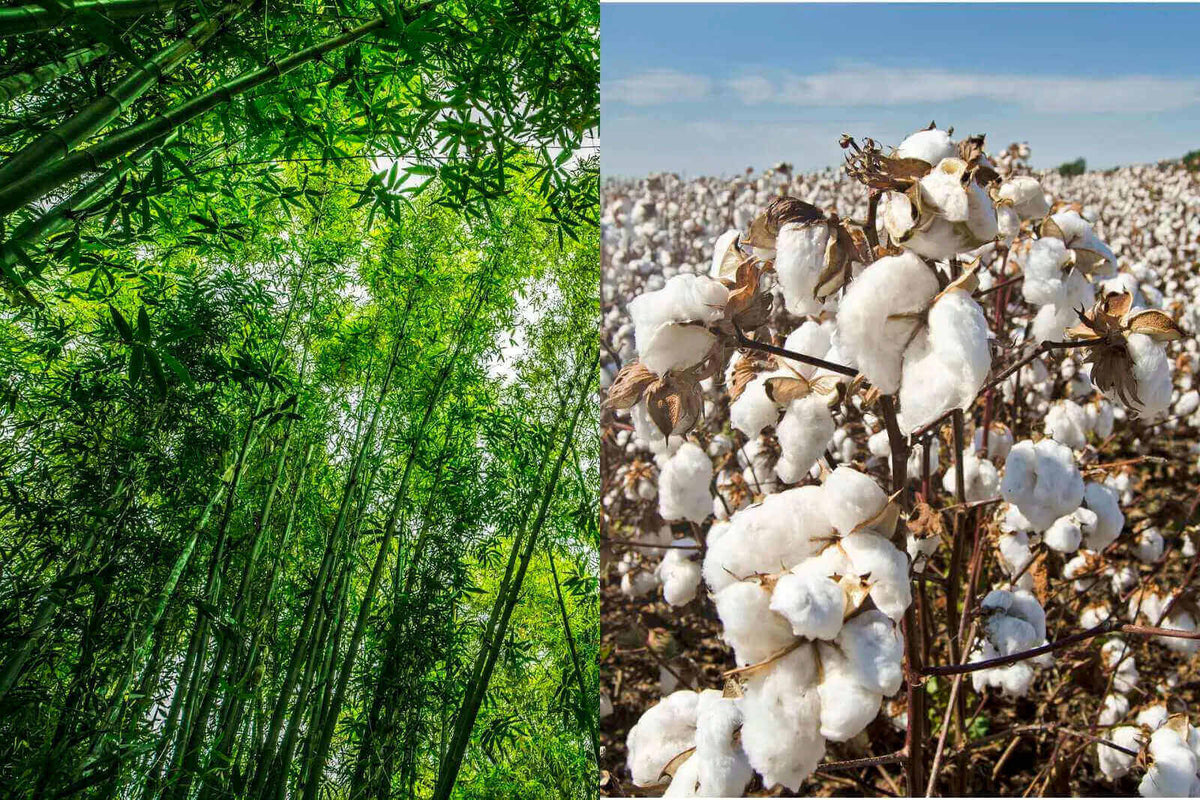 Viscose de bambou et coton, explorant les avantages de la viscose de bambou par rapport au coton.