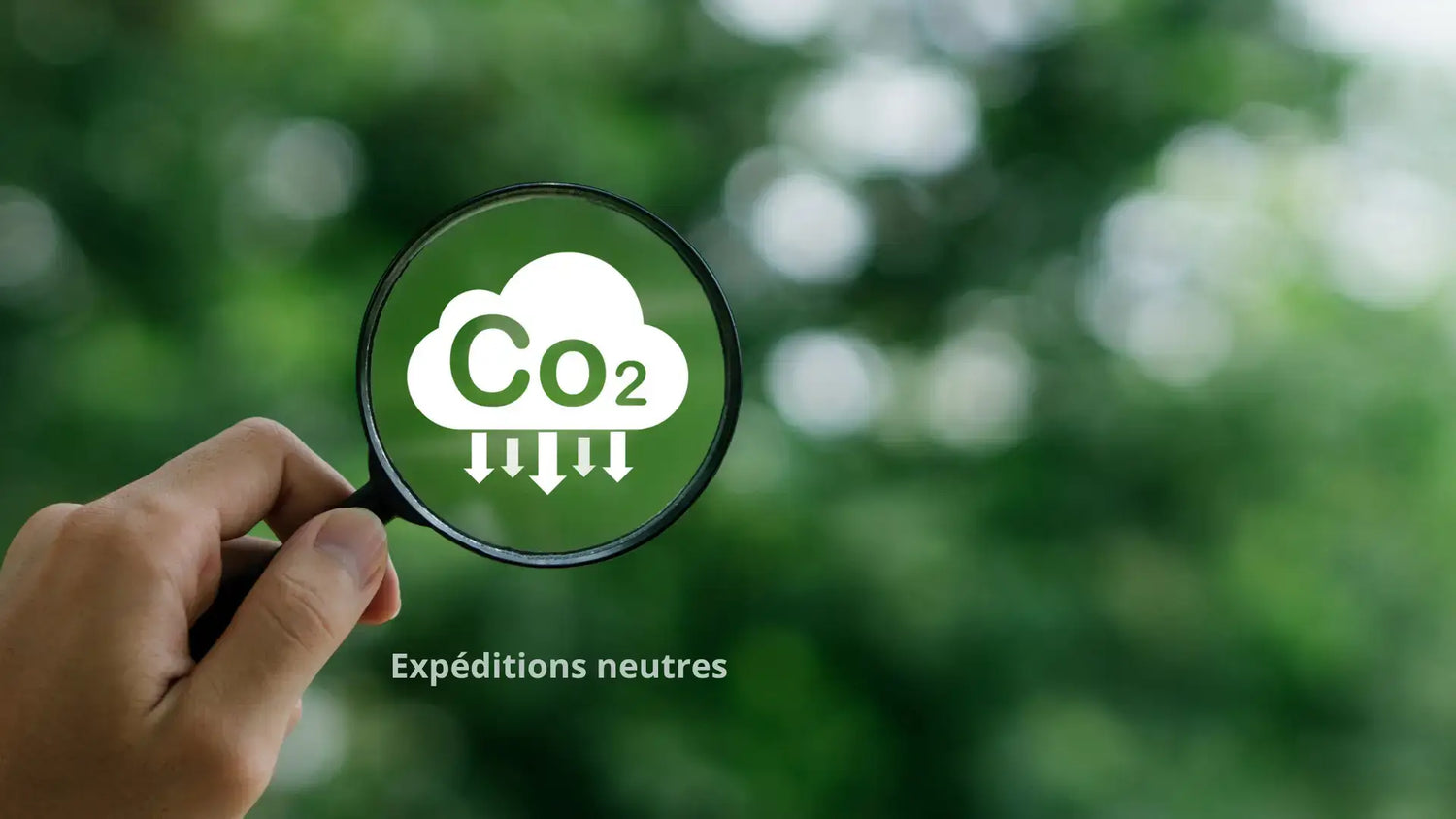 Un zoom sur les expédition neutres en carbone