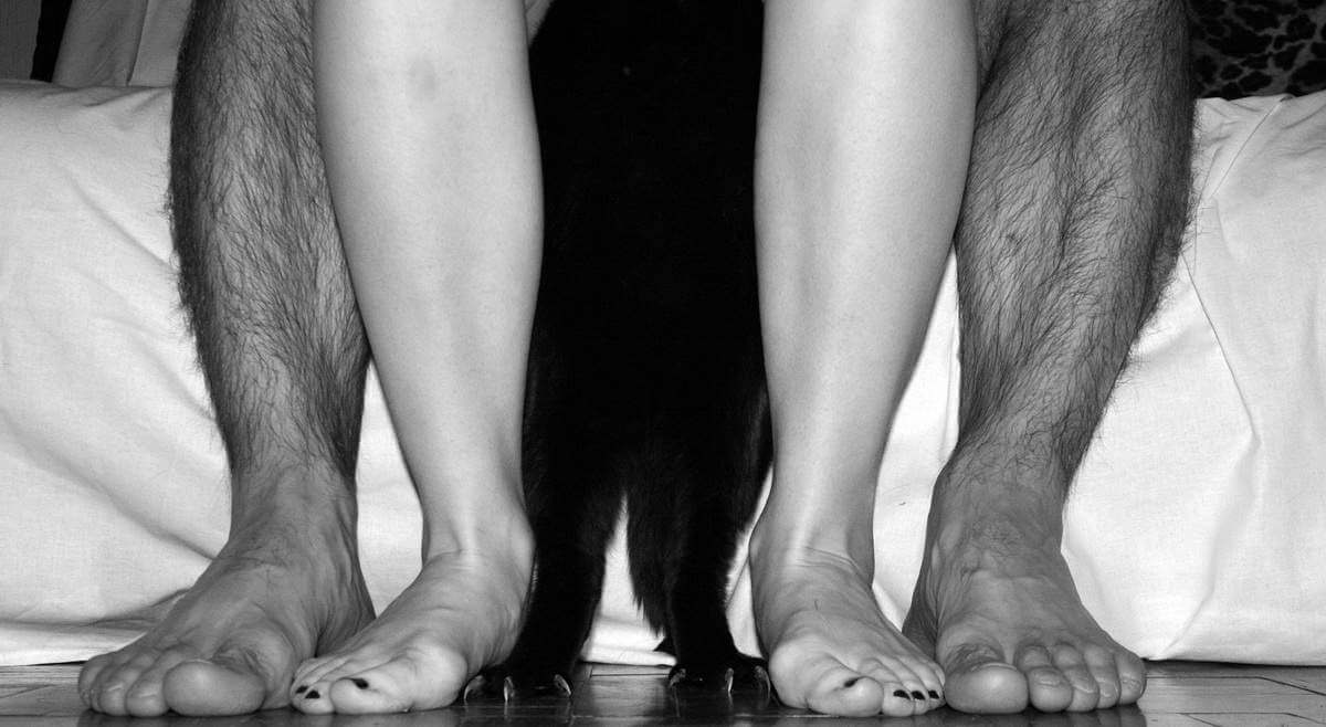 Mollets femme, homme et leur chat