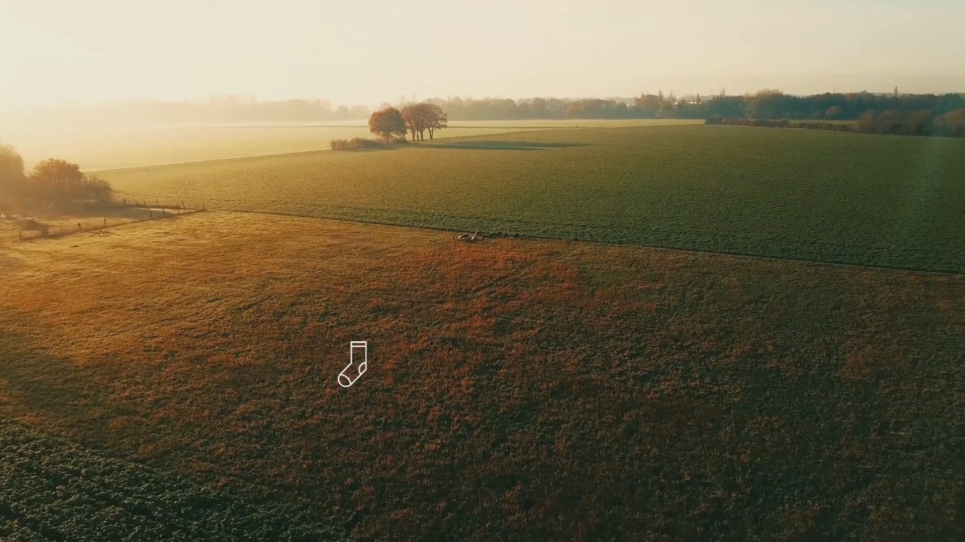 Video nature et chaussettes bambou